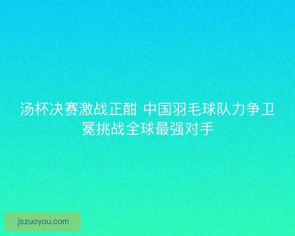 汤杯决赛激战正酣 中国羽毛球队力争卫冕挑战全球最强对手