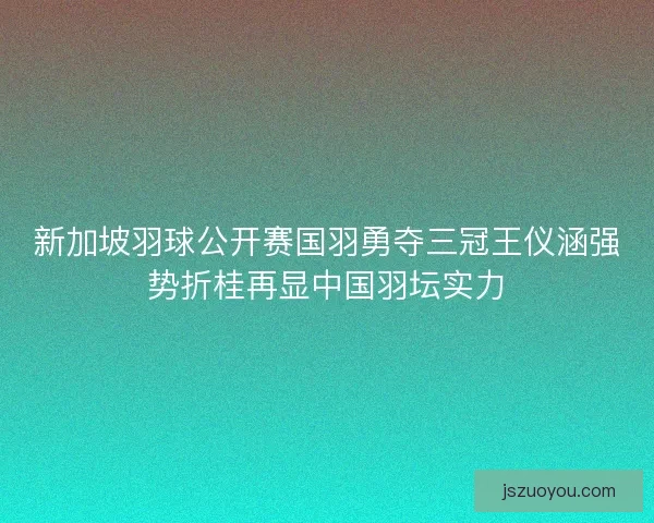 新加坡羽球公开赛国羽勇夺三冠王仪涵强势折桂再显中国羽坛实力