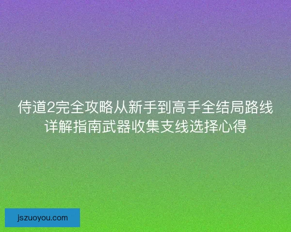 侍道2完全攻略从新手到高手全结局路线详解指南武器收集支线选择心得 侍道2完全攻略从新手到高手全结局路线详解指南武器收集支线选择心得